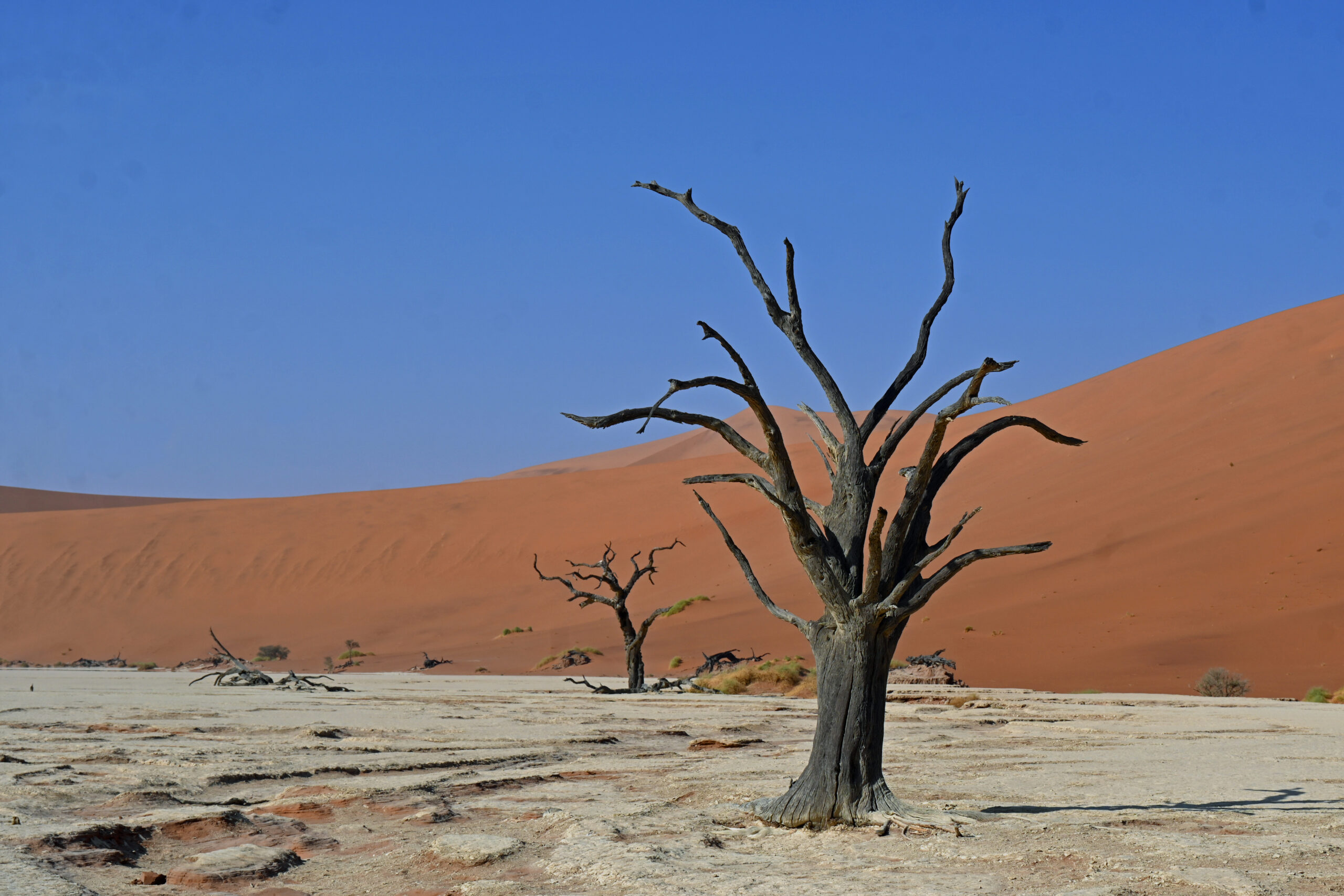 Bild des Monat September 2024