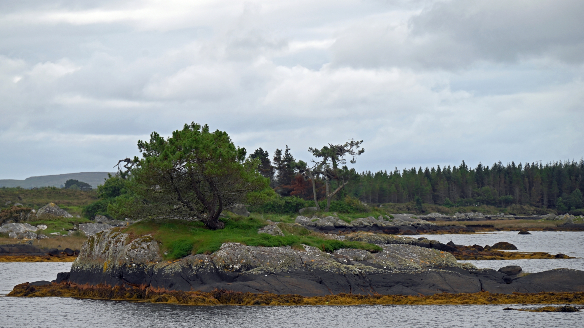 Bild des Monat August / Irland